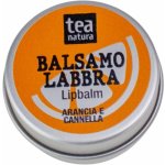 TEA Natura Balzám na rty s pomerančem a skořicí 15 ml – Zboží Dáma