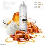 Adams vape S&V Caramel Pudding 10 ml – Sleviste.cz