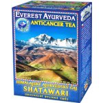 Everest Ayurveda SHATAWARI Onkologická terapie 100 g – Hledejceny.cz