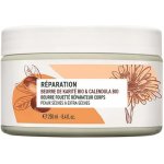 Yves Rocher regenerační tělové máslo 250 ml – Zbozi.Blesk.cz