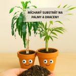 Mix č. 4 Pro palmy a dřevnaté rostliny – Zboží Dáma