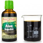 Bylinné kapky Aloe kapská tinktura 50 ml – Hledejceny.cz