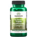 Swanson Chaga Mushroom 60 kapslí – Hledejceny.cz