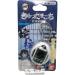 Tamagotchi Demon Slayer Kimetsu no Yaiba Obanaitchi Japan – Zboží Dáma