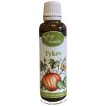 Serafin tinktura z bylin Tykev 50 ml – Hledejceny.cz