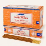 Satya Vonné tyčinky Nag champa Divine Karma božská karma 15 g – Hledejceny.cz
