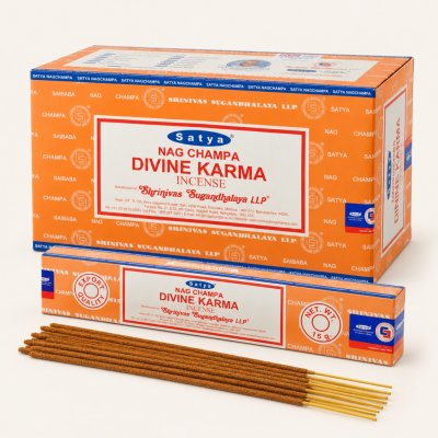 Satya Vonné tyčinky Nag champa Divine Karma božská karma 15 g – Hledejceny.cz
