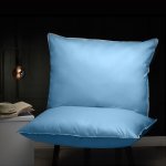 Polštáře a Peřiny.cz Péřový polštář Classic modrá 70x90 – Hledejceny.cz