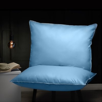 Polštáře a Peřiny.cz Péřový polštář Classic modrá 70x90 – Hledejceny.cz