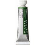 Holbein Akvarelová barva 5ml zelená W071 – Zboží Dáma