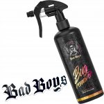 RRCustoms Bad Boys Bug Remover 500 ml | Zboží Auto