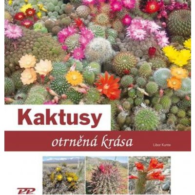 Kaktusy - otrněná krása