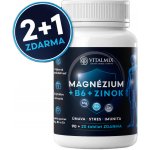 Vitalmix Magnézium+b6+zinok 90+20 tablet – Hledejceny.cz