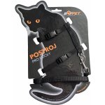 Bafpet Set CAT kšír + vodítko 120 cm 19 - 26 cm 24 - 37 cm – Zboží Dáma