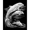 Škrábací  obrázek Royal & Langnickel škrabací obrázek stříbrný Delfíni