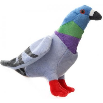 holub – Sleviste.cz