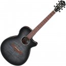 Elektroakustická kytara Ibanez AEG70