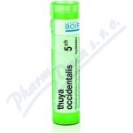 THUYA OCCIDENTALIS POR 5CH GRA 4G – Hledejceny.cz