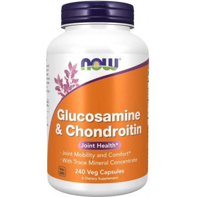 Now Foods Glukosamin Chondroitin a Trace Minerals 240 veg kapslí – Hledejceny.cz