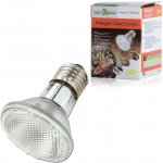 Repti Zoo Halogen Basking Spot 35 W – HobbyKompas.cz