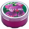 Svíčka Kringle Candle Sweet Pea 35 g