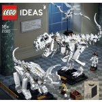 LEGO® Ideas 21320 Dinosauří fosilie – Hledejceny.cz