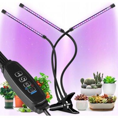 Gardlov 19388 – Zboží Dáma