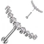 Šperky4U piercing do brady labreta TITAN TIT1269-C – Sleviste.cz