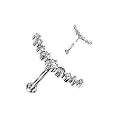 Šperky4U piercing do brady labreta TITAN TIT1269-C