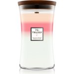WoodWick Trilogy Blooming Orchard 609,5 g – Zboží Dáma