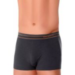 Brubeck Active Wool Mens Boxer Shorts black – Hledejceny.cz