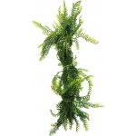 Repto Plant Vines Green Asparagus 60 cm – Zboží Mobilmania