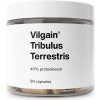 Vilgain Tribulus Terrestris 90 kapslí