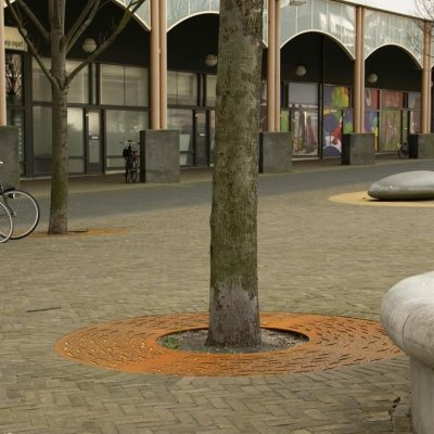 Cole Clark FL1EC – Zboží Dáma