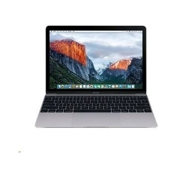 Apple MacBook MLH72D/A