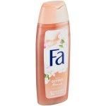 Fa Divine Moments sprchový gel 250 ml – Hledejceny.cz