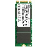 Transcend MTS600 256GB, M.2 SSD SATA, III MLC, TS256GMTS600S – Hledejceny.cz