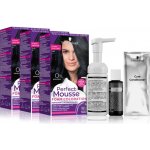 Schwarzkopf Perfect Mousse Ledový černý 210 – Zboží Mobilmania