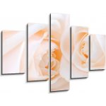 Obraz pětidílný 5D - 150 x 100 cm - Two delicate high key beige roses macro floral background Dvě jemné vysoké klíčové béžové růže makro květinové pozadí – Zboží Mobilmania