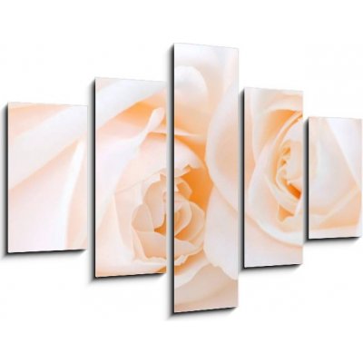Obraz pětidílný 5D - 150 x 100 cm - Two delicate high key beige roses macro floral background Dvě jemné vysoké klíčové béžové růže makro květinové pozadí – Zboží Mobilmania