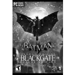 Batman: Arkham Origins Blackgate (Deluxe Edition) – Hledejceny.cz