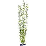 Penn Plax Blooming Ludwigia Green Giant 56 cm – Zboží Dáma