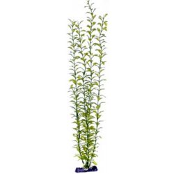 Penn Plax Blooming Ludwigia Green Giant 56 cm