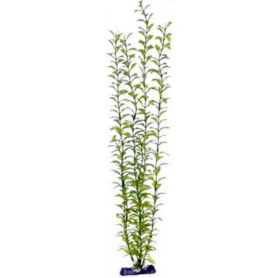Penn Plax Blooming Ludwigia Green Giant 56 cm – Zboží Dáma
