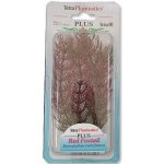 Tetra Myriophyllum heterophyllum - Red Foxtail 23 cm – Zboží Mobilmania