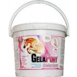 Orling Gelapony Selenium 1,8 kg – Hledejceny.cz