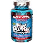 Aminostar Fat Burner Thermogenic 90 kapslí – Hledejceny.cz