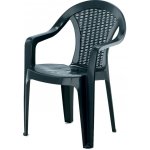 Pro-Tech shop 66583 Zahradní židle s područkami 56x42x78cm zelená – Hledejceny.cz