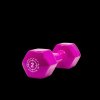 Ariana Jednoručka Vinyl Dumbell 2kg