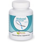Natural Pharm Diabenal extrakt 100 tablet – Hledejceny.cz